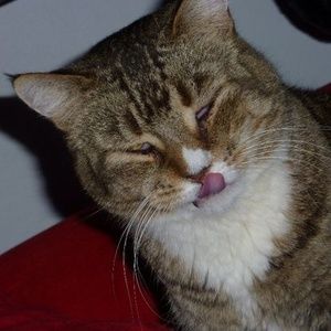 Meet your Posher, Carla